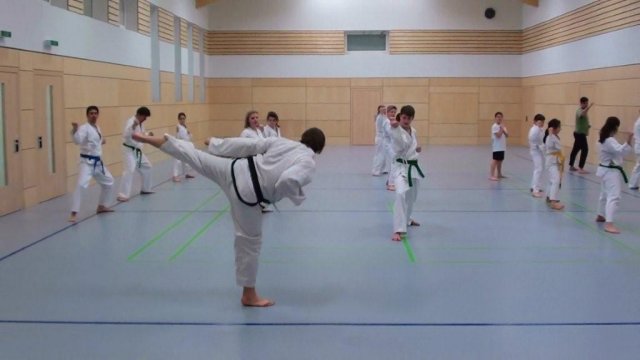 Taekwondo Training